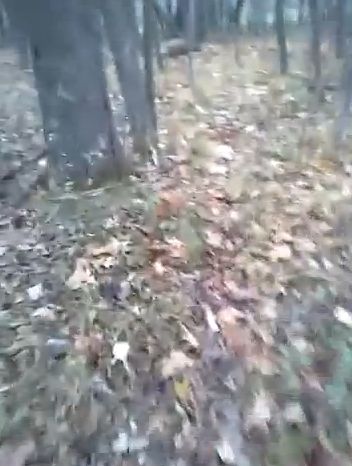 Video: Srna pripravila prekvapenie pre poľovníka