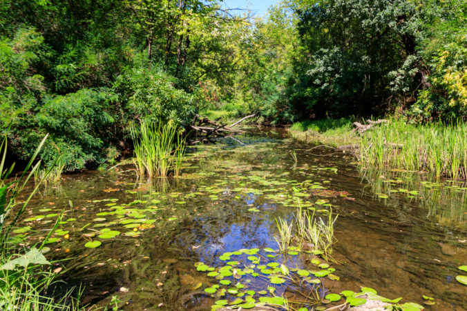 Program starostlivosti a rozširovanie sústavy NATURA 2000 pomáha zachovať mokrade na Slovensku