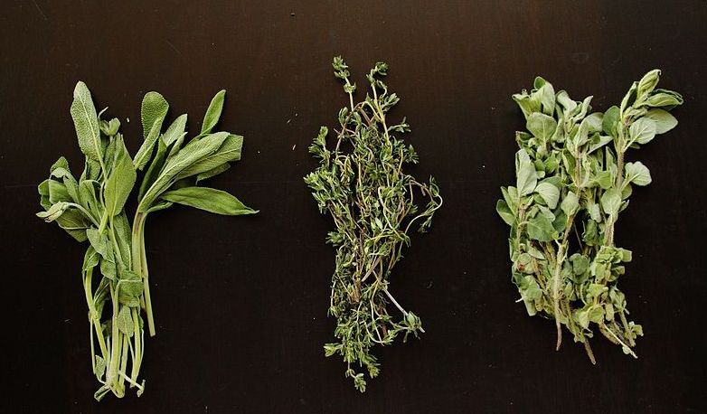 Päť byliniek, ktoré zmenia každé jedlo na vitamínovú bombu