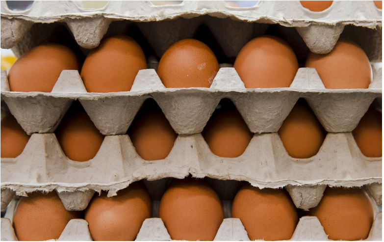 Toto gazdinky nepoteší: Ceny vajec pôjdu pred Vianocami hore