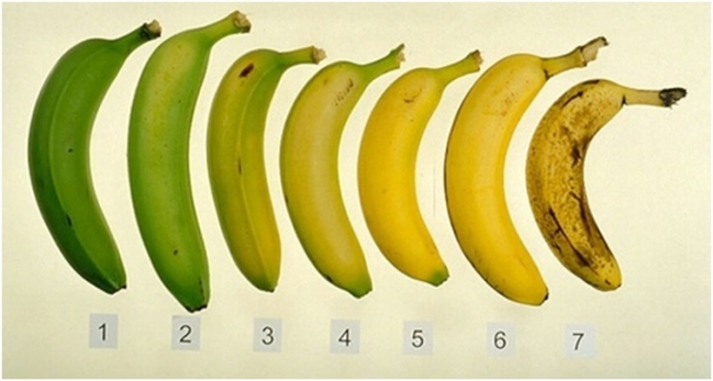 Banány sú v každom prípade pre nás prospešné.