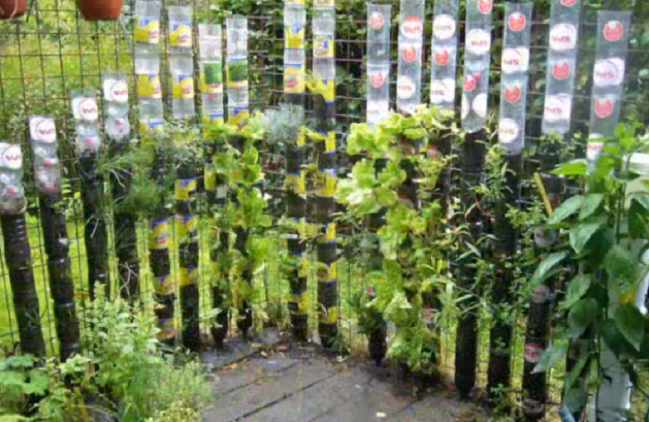 Video: Skvelý spôsob ako využiť plastové fľaše v záhrade