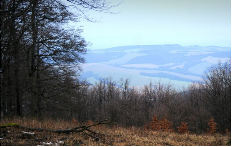 V Malých Karpatoch vznikne od 1. februára prírodná rezervácia Vydrica