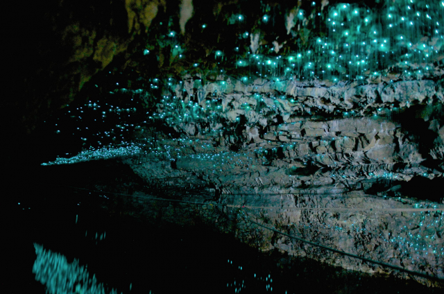 Foto: Úžasná svetielkujúca - bioluminescentná jaskyňa na Novom Zélande