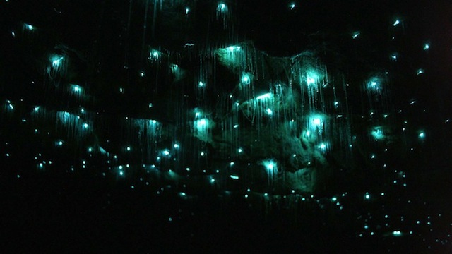Foto: Úžasná svetielkujúca - bioluminescentná jaskyňa na Novom Zélande
