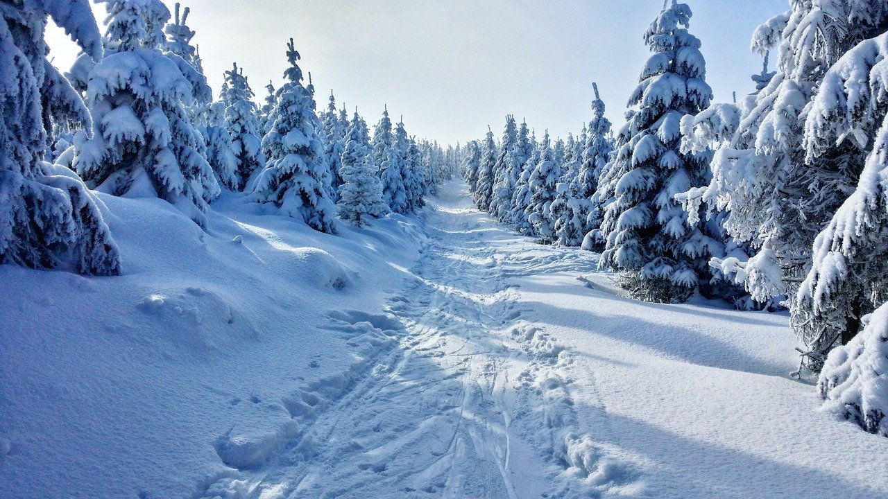 počasie