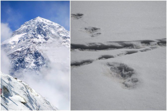 Foto: V Himalájach našli záhadné stopy, podľa indickej armády patria Yetimu
