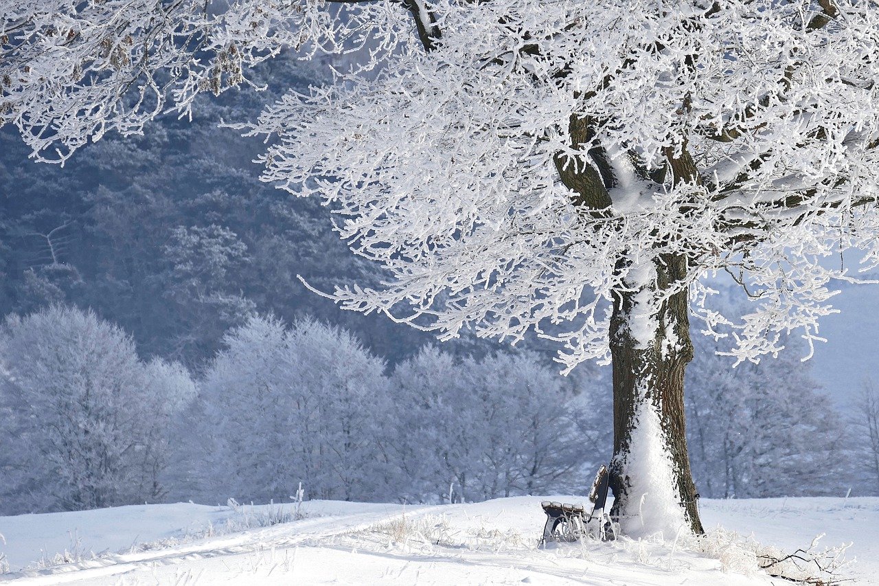 Nočná teplota na severe Slovenska môže klesnúť na -20 stupňov Celzia