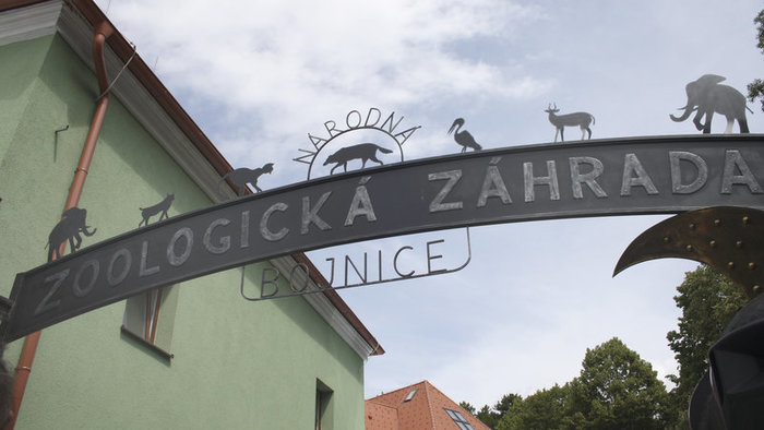 Zoo Bojnice zvyšuje od 1.7.2023 vstupné. 