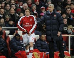 rosicky