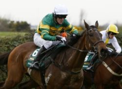 mccoy