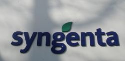 syngenta