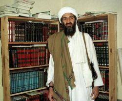 usama bin ladin