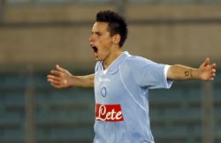 hamsik