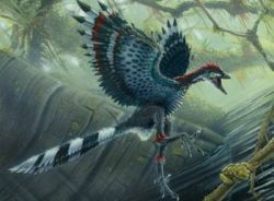 archaeopteryx