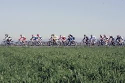 peloton