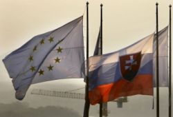 vlajka