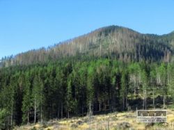 vysoke tatry