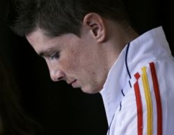 fernando torres