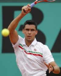 victor hanescu