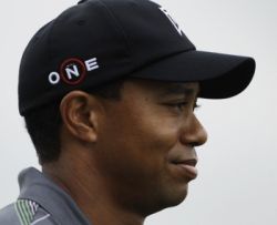 woods