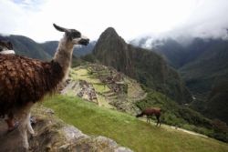 machu picchu