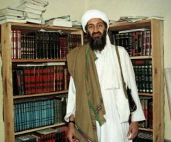 bin ladin