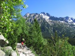 tatry