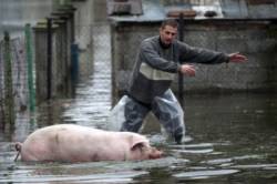 srbsko povodne
