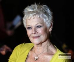 judi dench