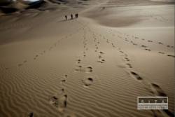 rely dakar