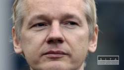 assange