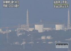 japonsko strasi nocna mora jadroveh