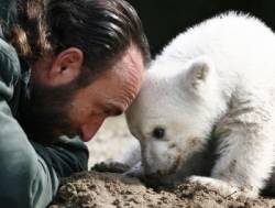 knut