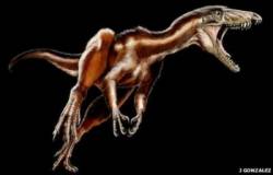 tawa hallae dinosaurus