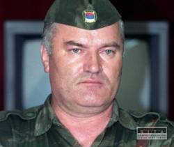 mladic