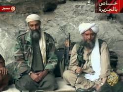 ajman al zawahiri bin ladin