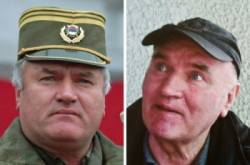 mladic