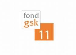 fond gsk 2011 logo