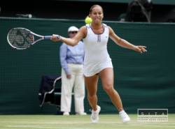 cibulkova