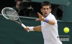 djokovic