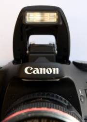 canon eos 7d