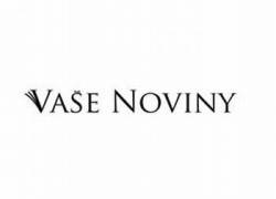 logo vasenovinysk