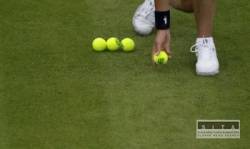 zacal sa wimbledon