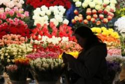 obchod kvety