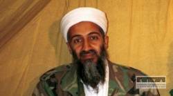 bin ladin