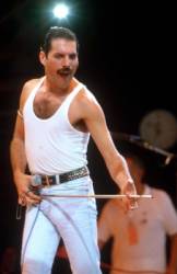 freddie mercury