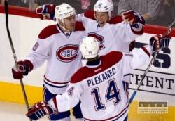 plekanec