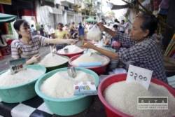 mjanmarsko sa pokusa stlmit rast cien