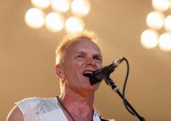 sting